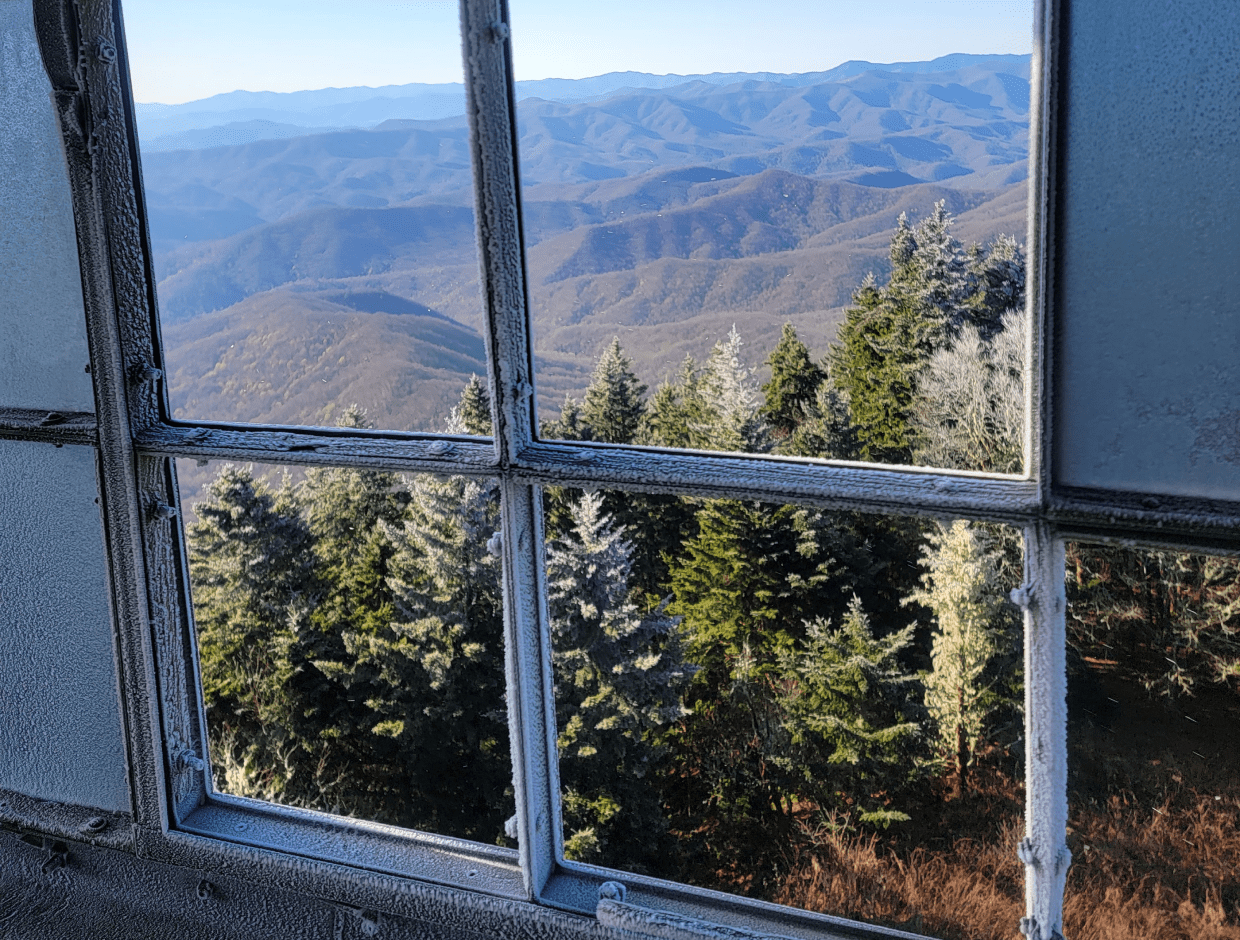 Frosty window framing mountain and evergreen view